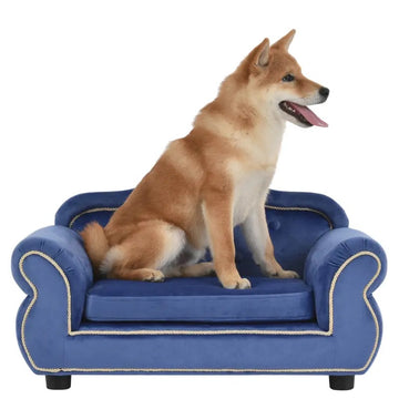 RoyalPets Pristine Royal Blue Pet Sofa