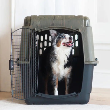 Sophisticate Camo Dog Kennel, Tan & Green