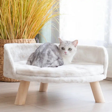 PLUSH Luxury Elevated Cat Bed