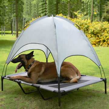 Nest Foldable Portable Dog Bed & Pet Tent